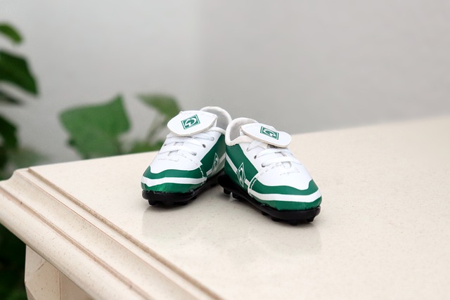 共处的重要 共处的重要