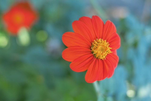 河南队可以 河南队可以