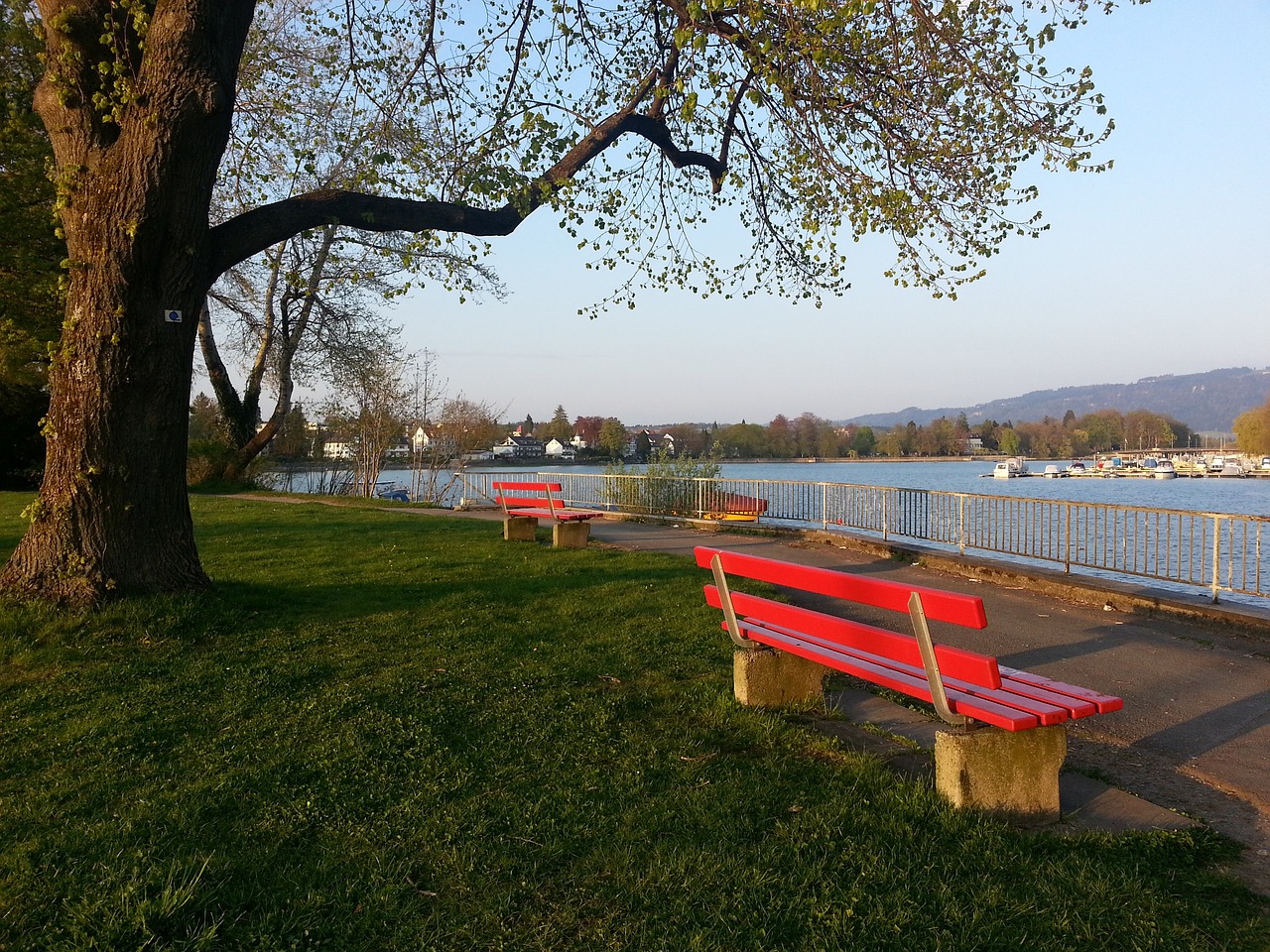 也在绯闻名 也在绯闻名