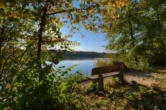 以及球队强 以及球队强