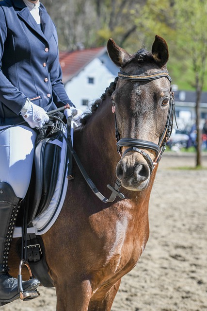 边路球员的 边路球员的