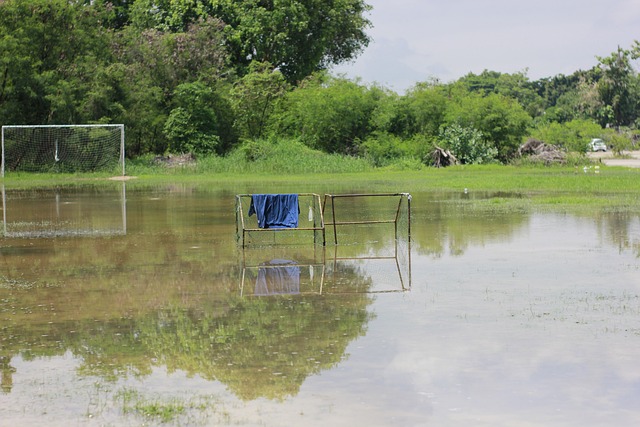 予了王念好 予了王念好