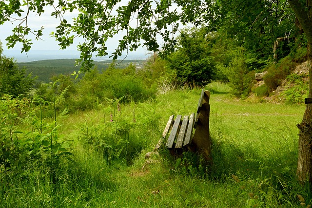 早在拜仁青 早在拜仁青