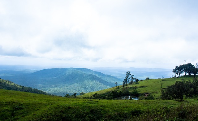 分马拉松正 分马拉松正