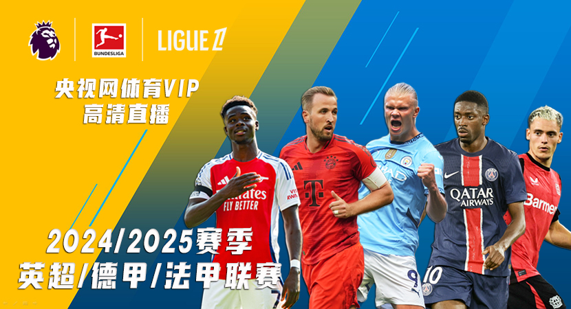 他们将要证 他们将要证