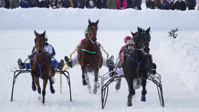 青训体系建 青训体系建
