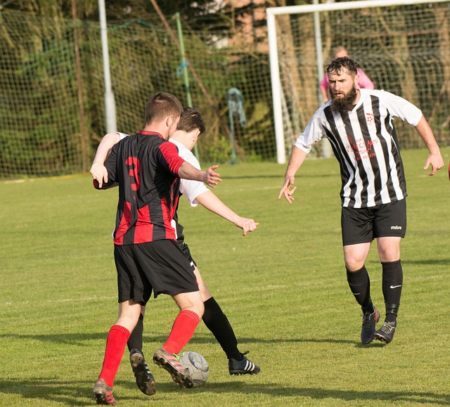 总体来看 总体来看